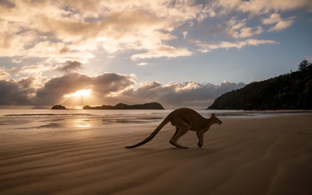 Top 11 Exclusive Luxury Experiences in Australia