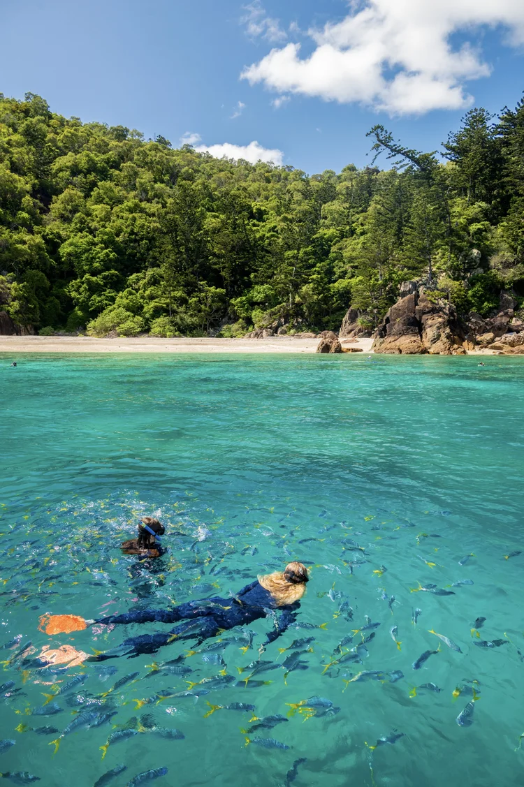 Two people snorkeling in clear waters near Hook Island, Queensland, surrounded by the lush greenery and tranquil environment in Australia’s Whitsundays.