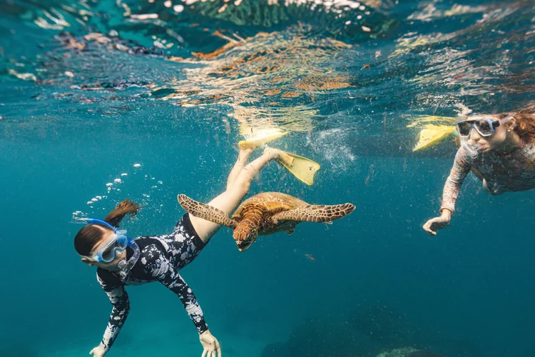 Two snorkellers in wetsuits swim alongside a sea turtle in clear turquoise reef water.