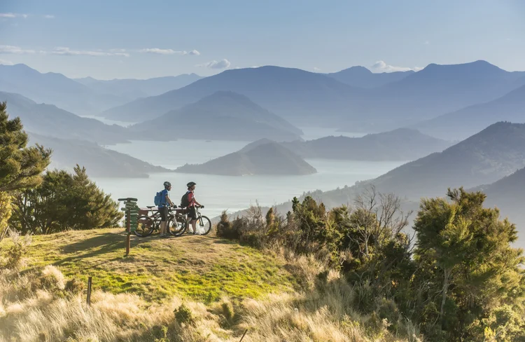 Two people riding bikes at an outlook with the forest landscape of the Marlborough Sounds in the background.