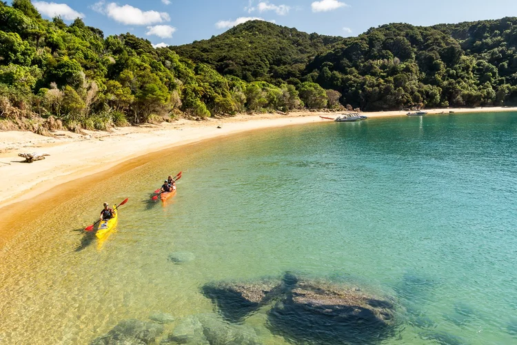 Kayakers paddling in a turquoise cove along a forested coastline, Abel Tasman National Park.