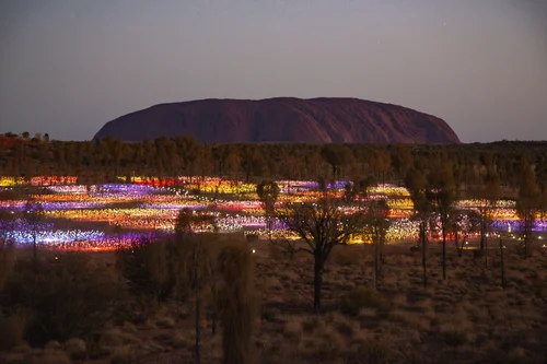 A landscape of Uluru at dusk with colorful lights illuminating the area in front of it, and sparse trees in the foreground.