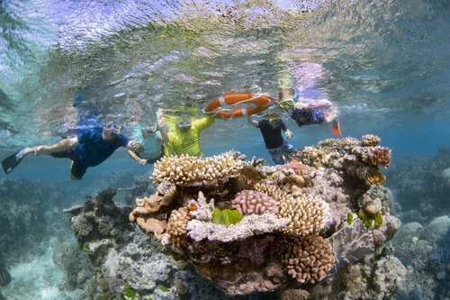Group of five children snorkeling underwater at a vibrant coral reef, holding hands around the coral, wearing masks and snorkels.
