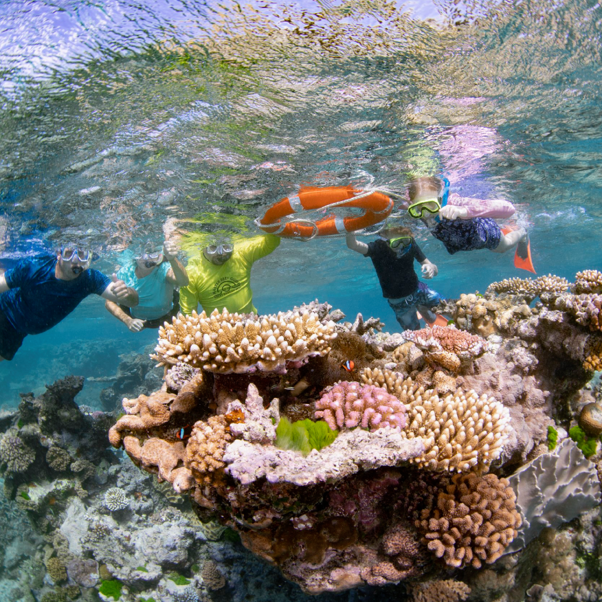 Five children snorkeling underwater around a coral reef, holding hands and wearing masks and snorkels, with vibrant coral and fish visible.