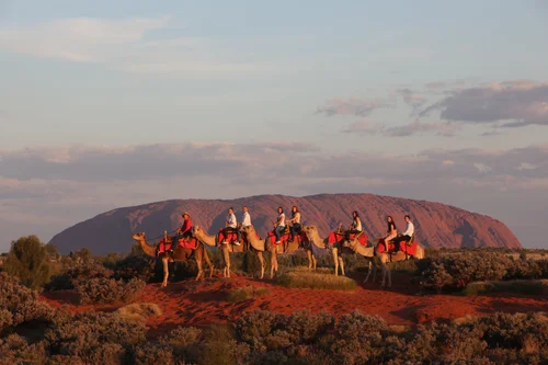 Tourists riding camels across a desert landscape with Uluru in the background at sunset.