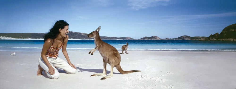 Kangaroo on beach at Esperance. Tourism Australia.