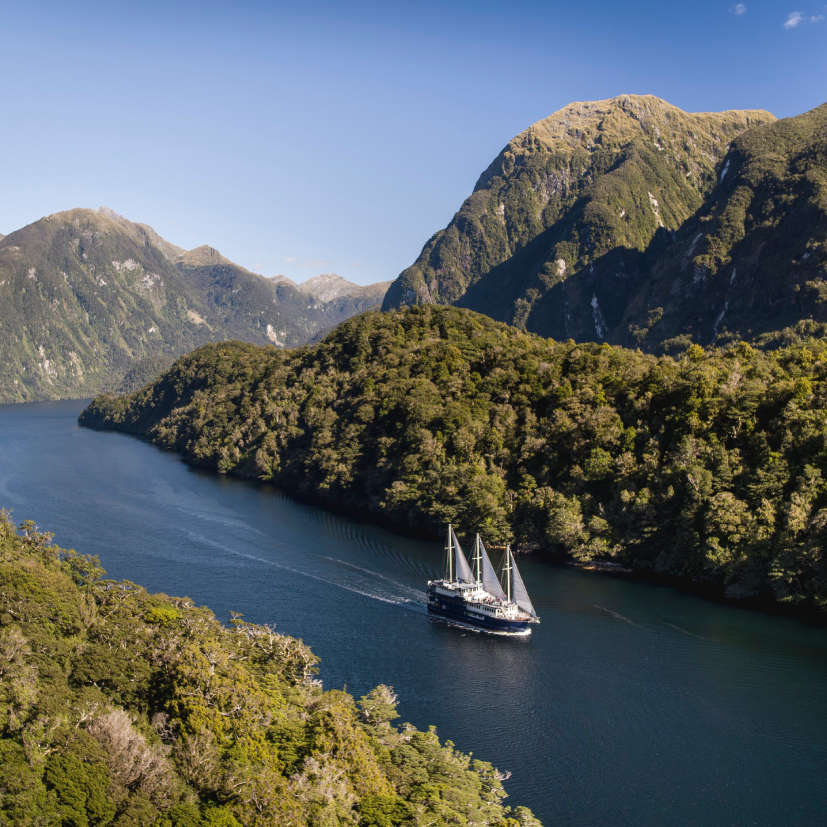 A small cruise vessel sailing through Milford Sound in Fiordland, New Zealand, surrounded by steep, forested mountains rising from calm water.