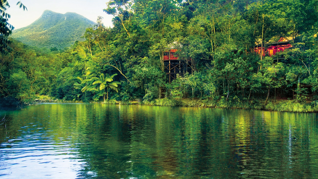 A scenic view of the Daintree Rainforest with a calm river in the foreground, lush green trees covering the landscape, a mountain in the distance, and a wooden structure nestled among the trees.