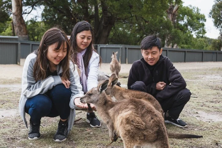 Why Small-Group Travel Creates Deeper Cultural Connections Than Traditional Tours