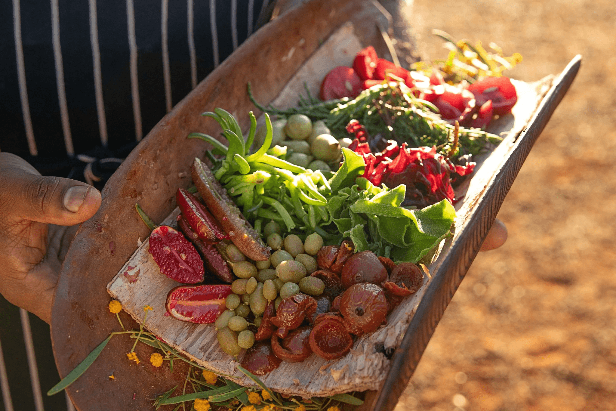 Luxury dining experience set outdoors in nature in Tasmania, Australia, featuring a beautifully arranged assortment of locally sourced ingredients prepared by a high-end private chef.