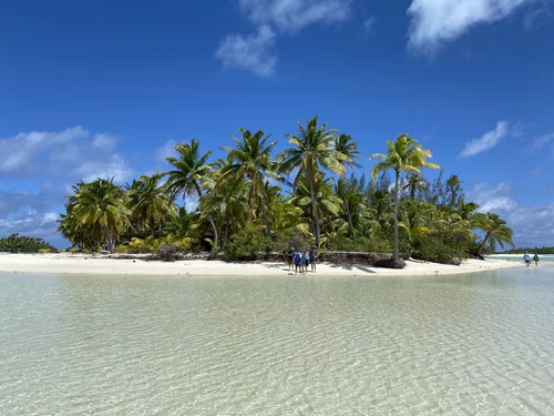 A tropical beach with clear shallow water, white sand, and a cluster of tall palm trees under a blue sky with some clouds. People are walking on the beach and exploring the area.