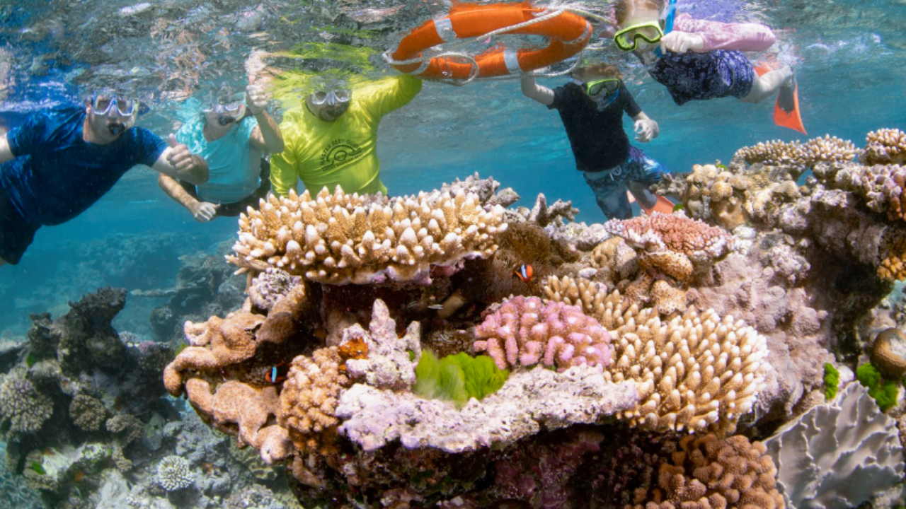 Five snorkelers explore the vibrant coral and marine life of the Great Barrier Reef in Australia, with one holding a safety buoy