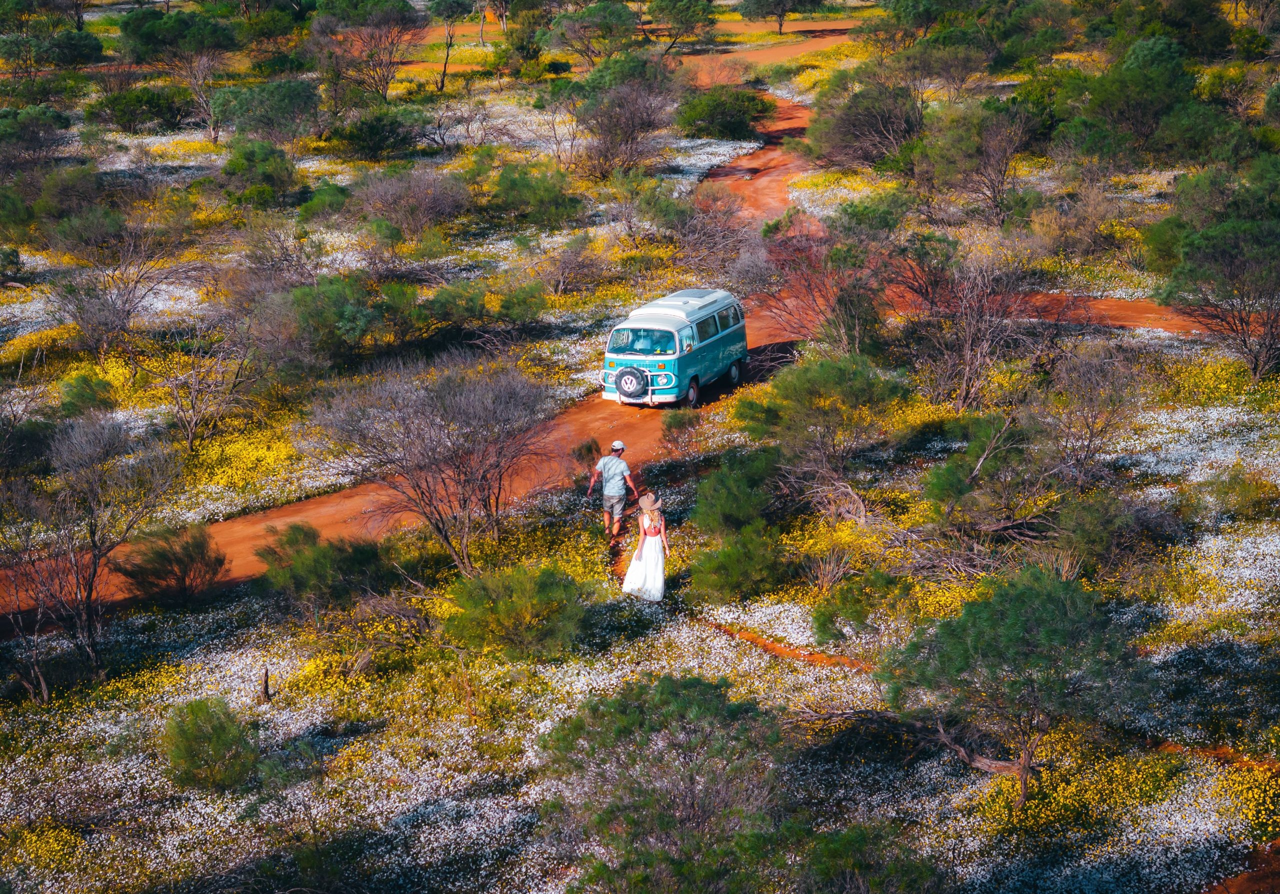 A couple walks through a colorful meadow, a light blue VW bus is parked nearby.