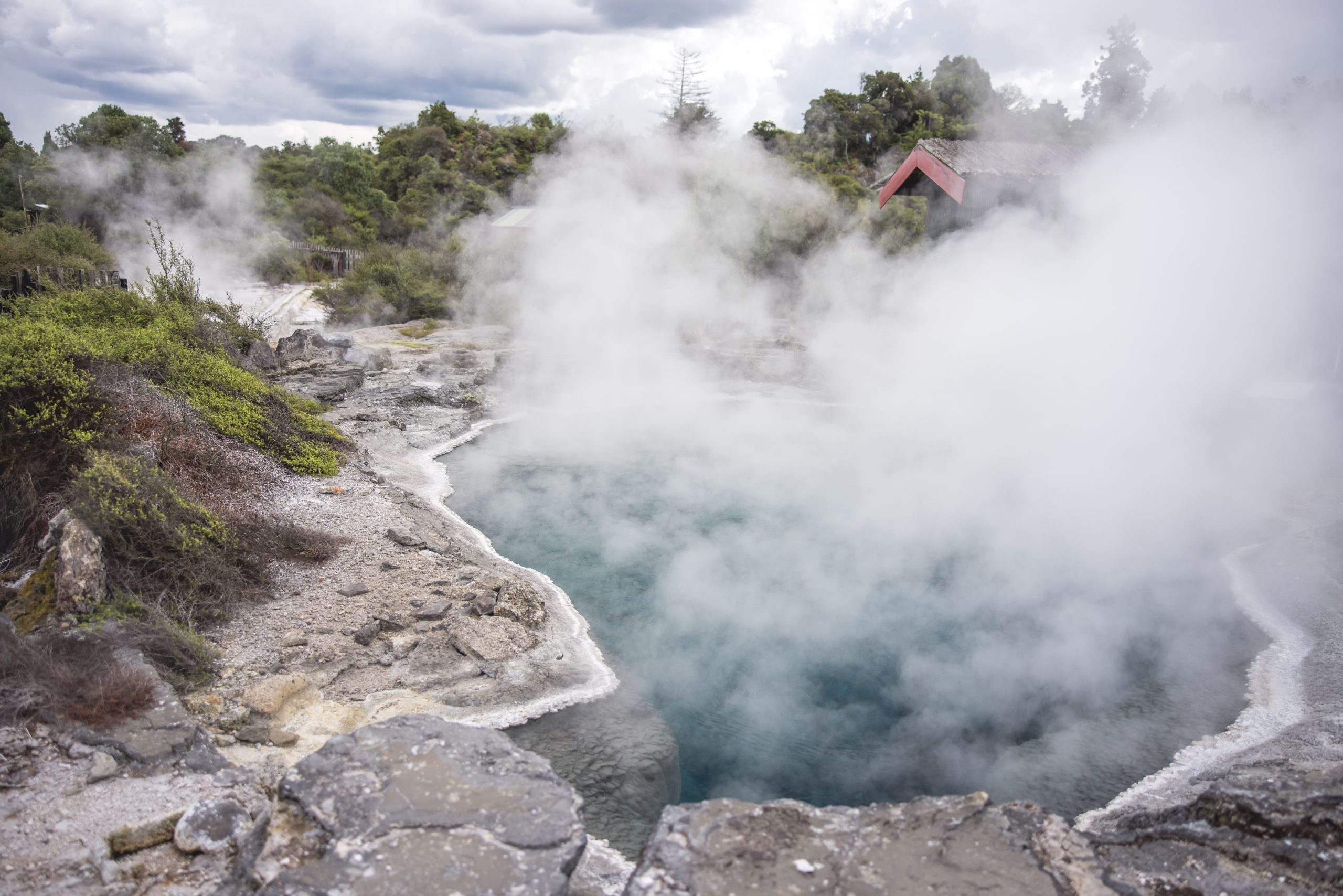 Steam rises off the geothermal pools of Bay of Plenty, Rotorua, NZ.