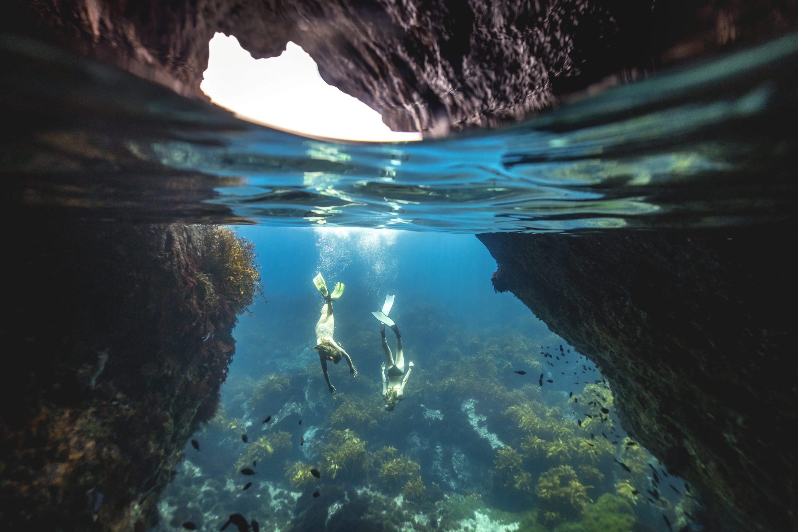 Underwater shot of two snorkelers diving near Poor Knights Islands, Northland