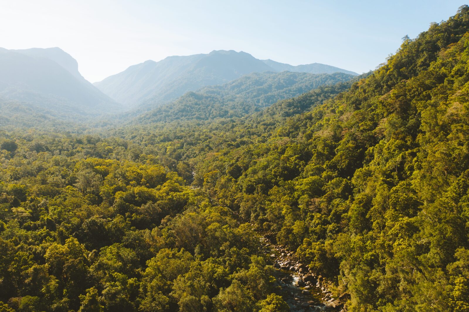 Mossman Gorge, located in the Daintree Rainforest. The valley is covered in lush, greenery. 