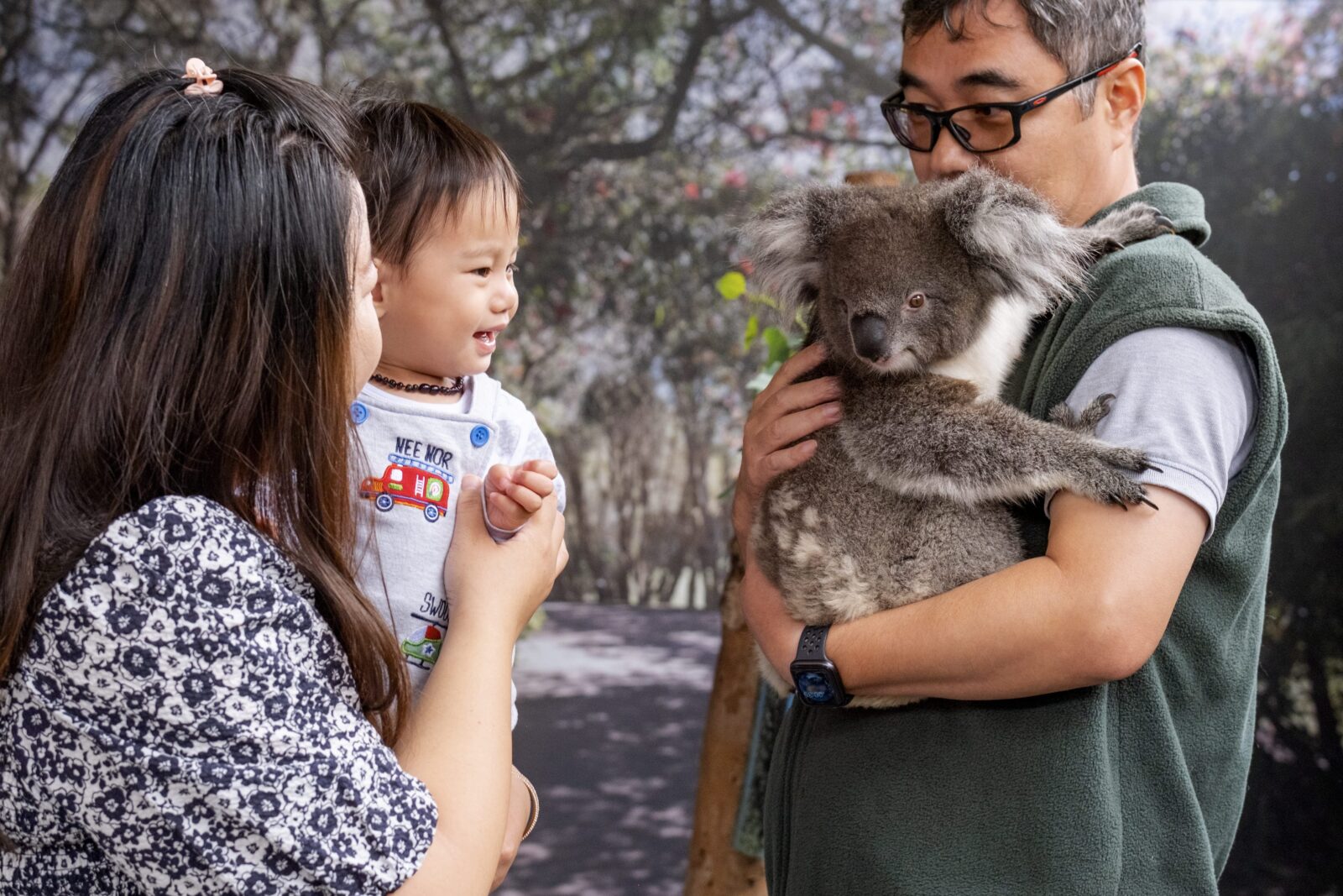 A mother and her baby meet a koala face to face alongside a private wildlife guide. 