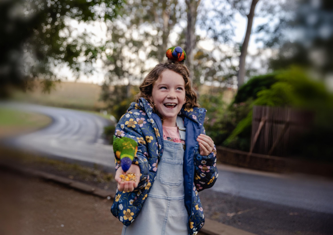 Lorikeet's feed from an excited child at a private accommodation for families in Queensland, Australia.