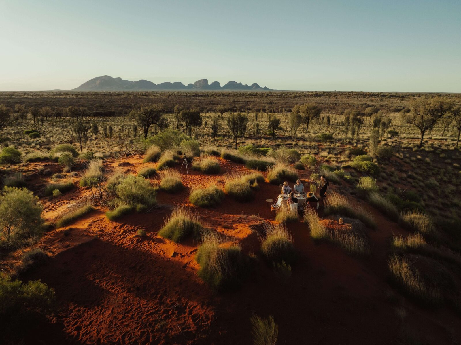 Red desert landscape dotted with spinifex grass at Uluru-Kata Tjuta National Park, Yulara, in soft early morning or dusk light.