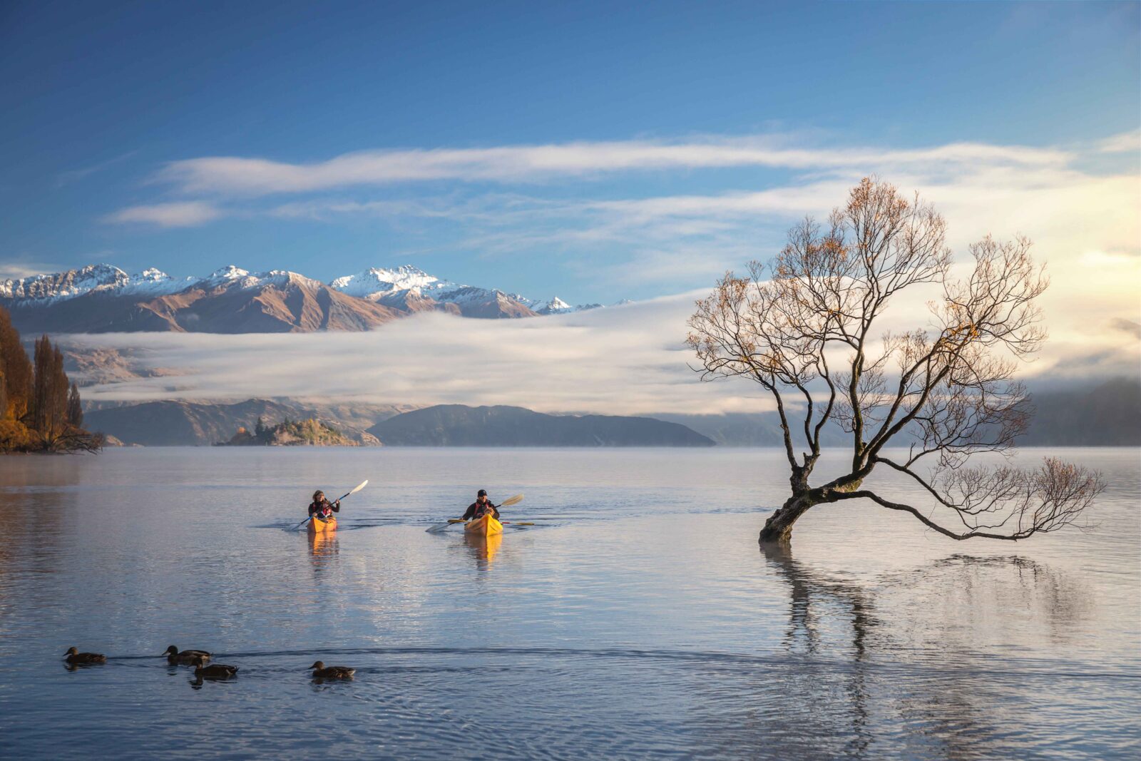 Two kayakers in yellow kayaks paddle on Lake Wānaka.