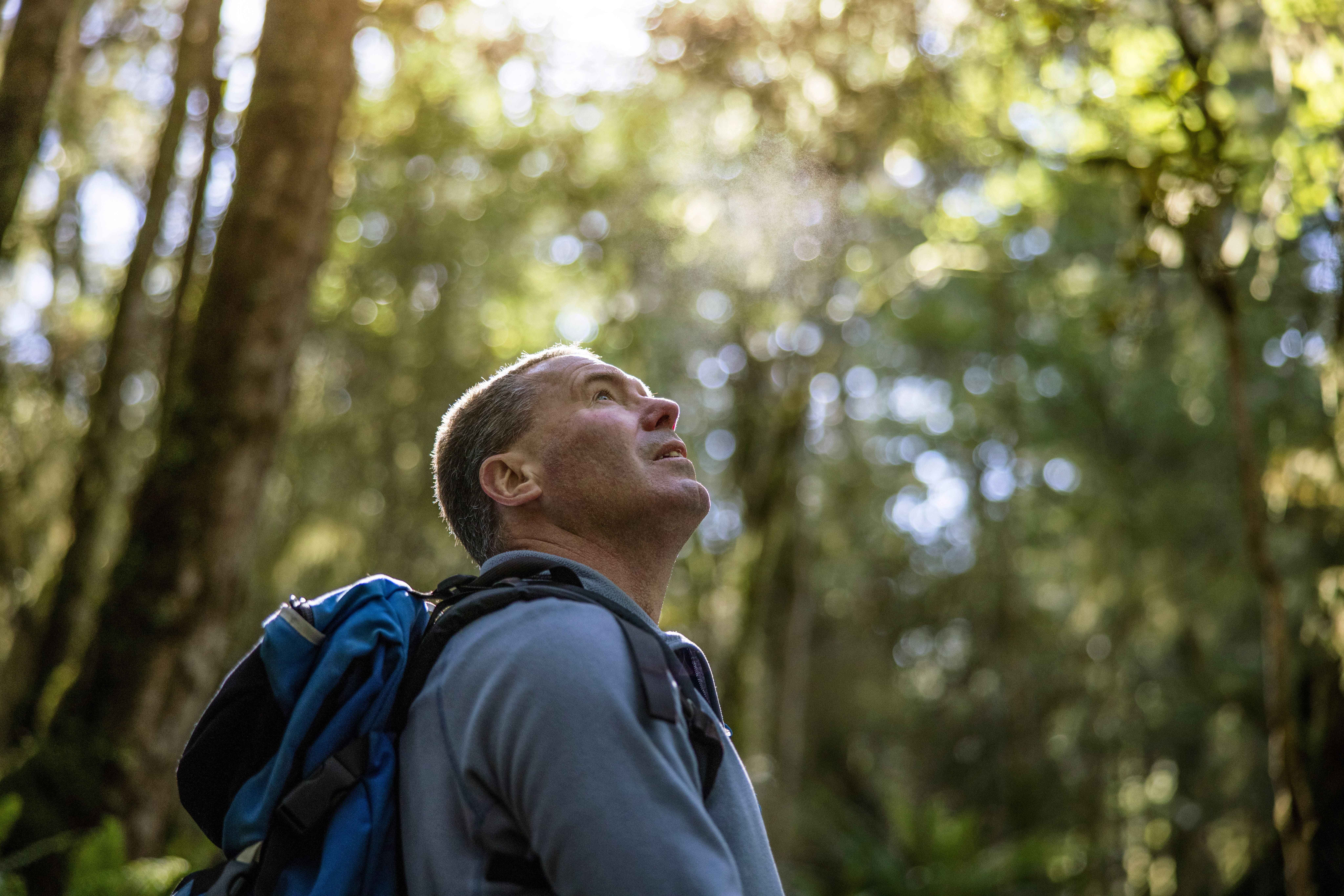 A senior traveler hikes a trail near Milford Sound, looking up in awe while surrounded by lush green forest.