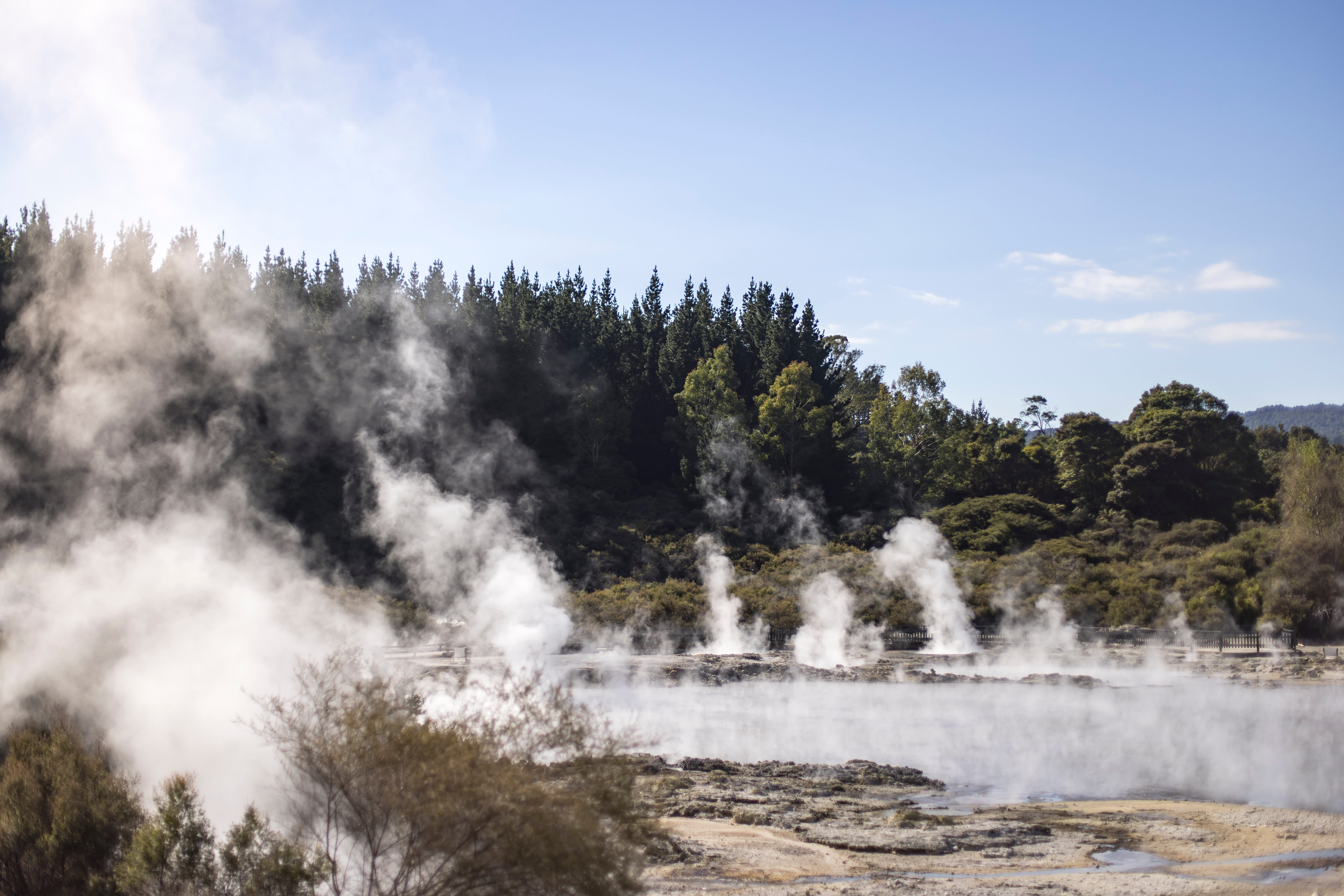 Steam rises from the geothermal pools in Rotorua, Bay of Plenty.