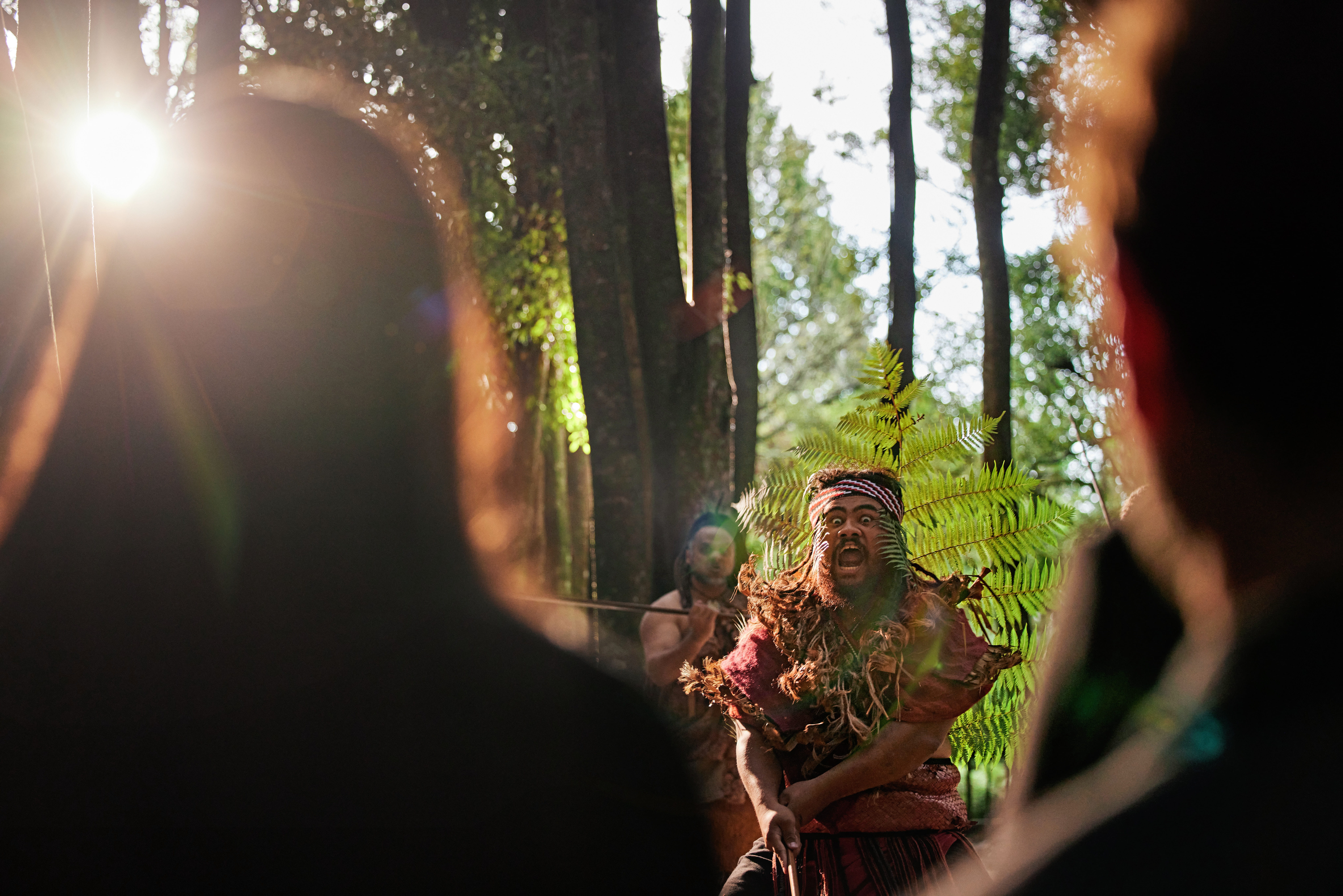 A Māori cultural performer in traditional dress performing in a sunlit native forest, with onlookers watching in the foreground.