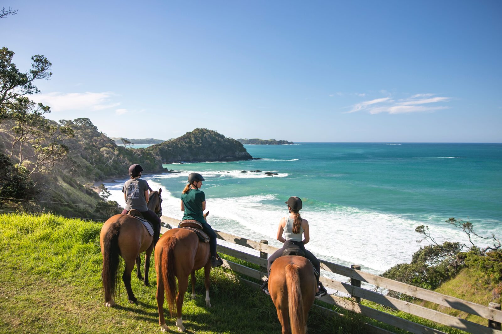 Three riders on horseback along a grassy clifftop overlooking the rugged Northland coastline and ocean.