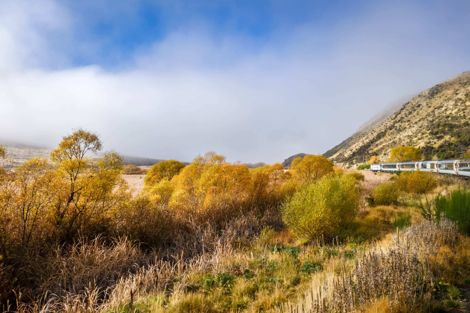 TranzAlpine train traverses the New Zealand mountains in Autumn