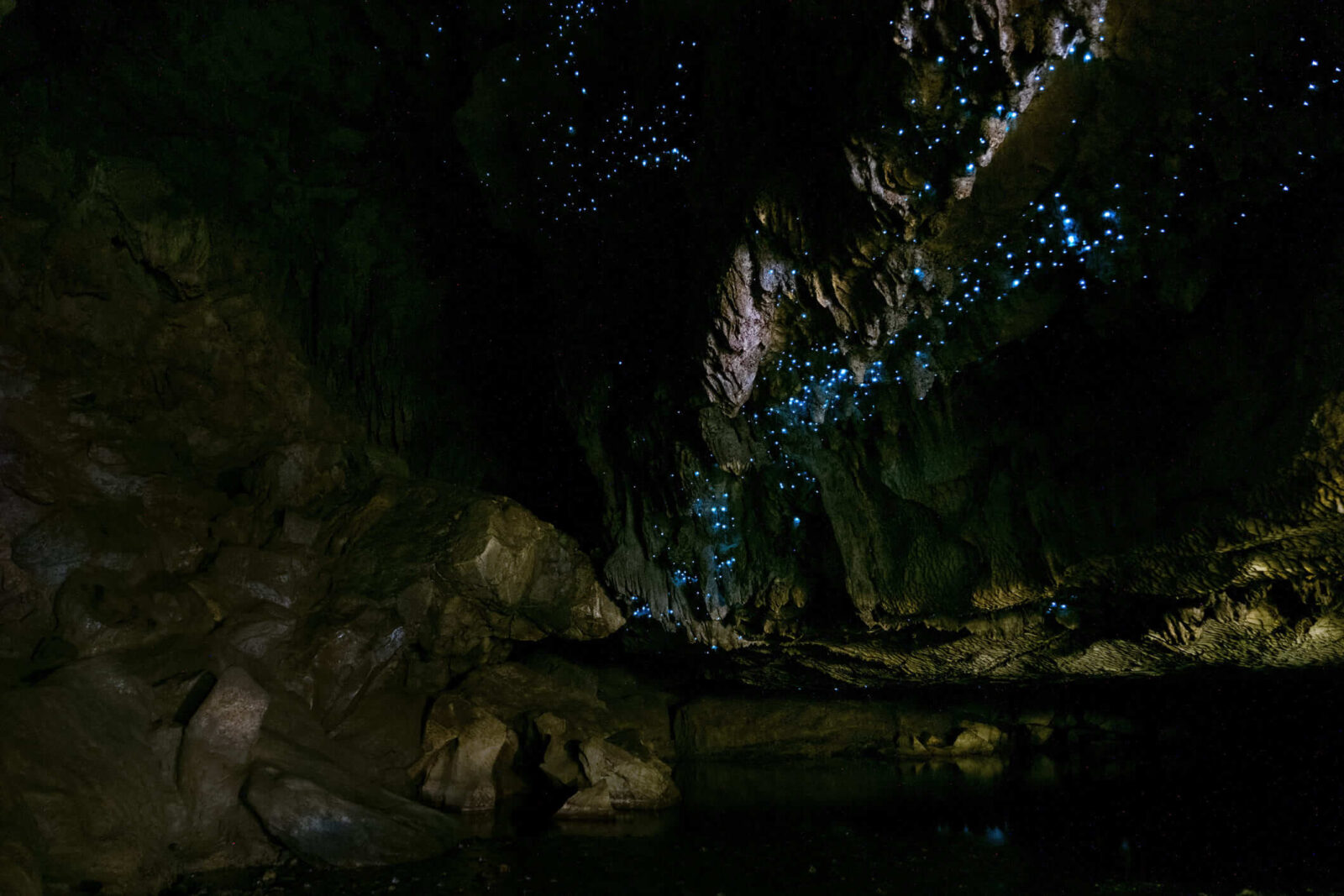 Blue glow-worm light on the roof of a limestone cave in New Zealand.