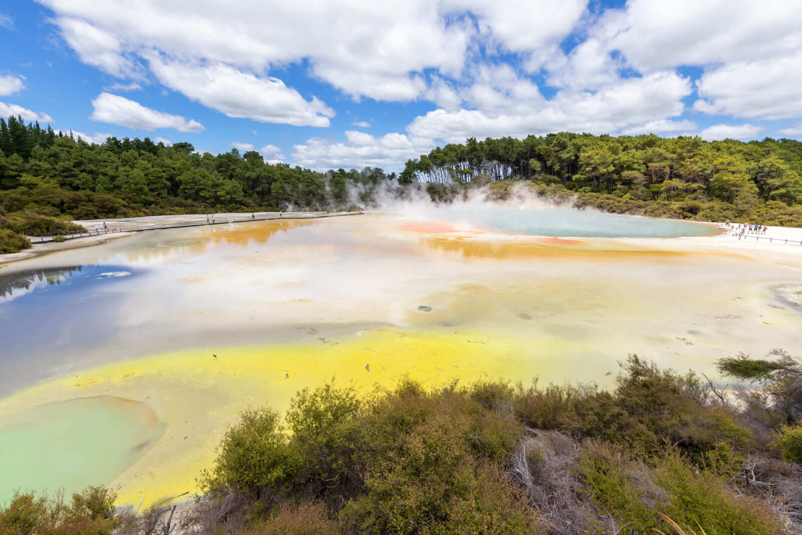 An image of geothermal activity at Rotorua in New Zealand.