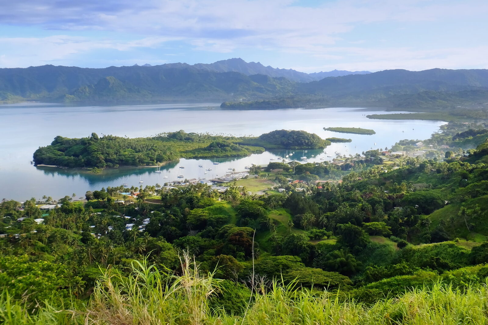 Savusavu marina and Nawi islet, Vanua Levu island, Fiji, South Pacific.