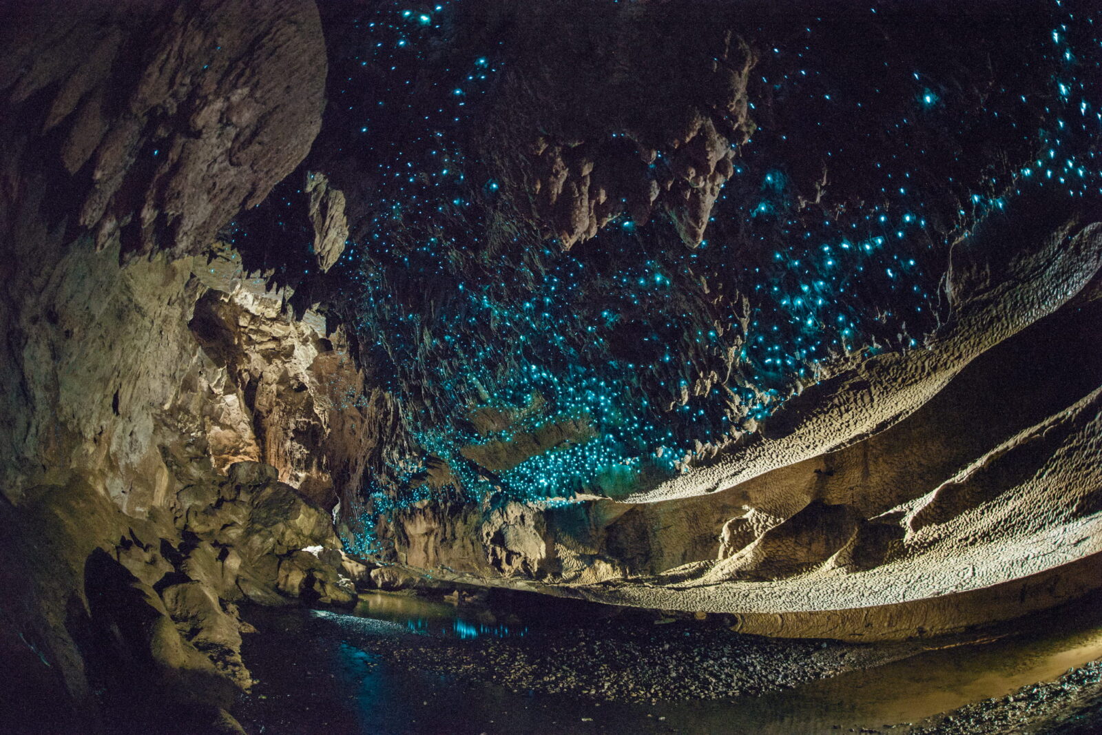 Blue glow-worm light on the roof of a limestone cave in New Zealand, lit up by flashes. A stream runs through the middle.