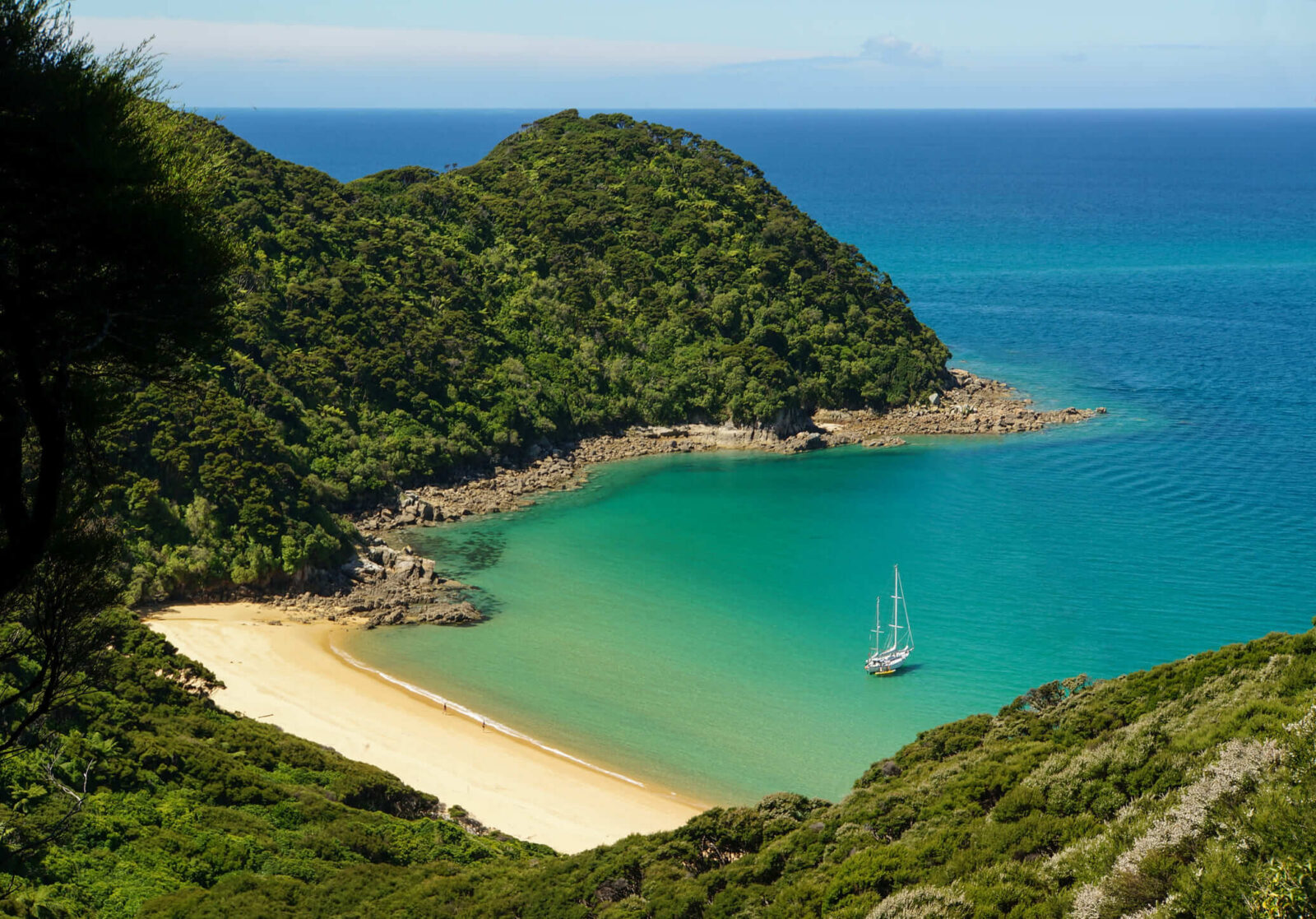 Mutton Cove seen from uphill, Abel Tasman National Park, NZ.